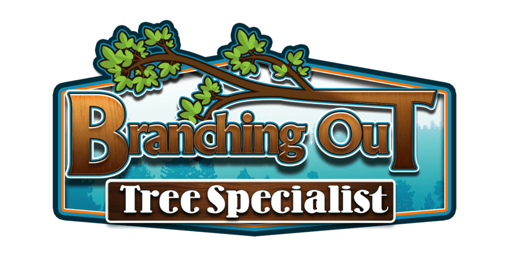 branching-out-tree-specialist