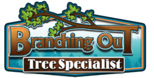 Branching Out Tree Specialist